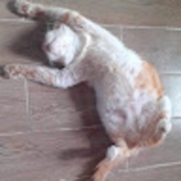 myatun